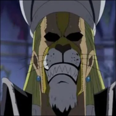 Qui est-ce ? > Equipage Thriller Bark 