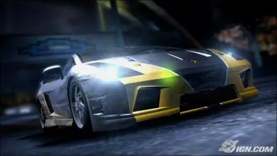 Dans quel jeu de course peut-on trouver cette image ?