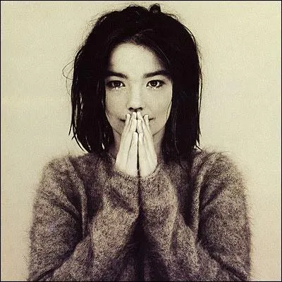 Quel nom porte cet album de Bjrk ?