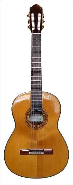 Quel est cet instrument de musique ?