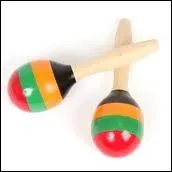 Quell est cet instrument de musique ?