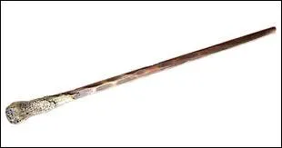 A qui est cette baguette ?