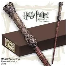 A qui est cette baguette ?