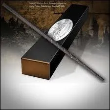 A qui est cette baguette ?