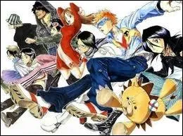 Shinigami et Hollow s'affrontent dans ce manga.