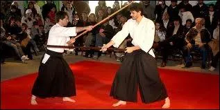 Quel est le nom de ce sport de combat ?