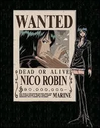 Quel tait le surnom de Robin quand elle tait dans la Baroque Works ?