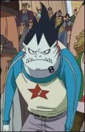 Lequel de ces pirates est un homme-requin blanc ?