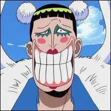 Lequel (o la quelle ) de ces travestis a mang un fruit de type Logia ?