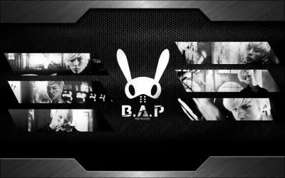 Que signifie  B. A. P  ?