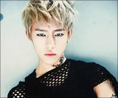 Qui est le chanteur principal ?