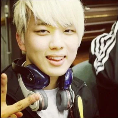 Qui est le chanteur principal ?