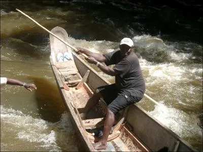 Dans les expditions amazoniennes, la pirogue est le moyen de transport le plus utilis, comment s'appelle l'homme situ  l'avant, dont la fonction est de diriger la pirogue dans les rapides ?