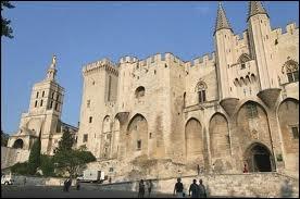 Commenons notre promenade Vauclusienne par une visite de la ville d'Avignon. Comment se nomment ses habitants ?