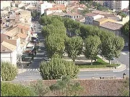 Partons maintenant  Cavaillon, o les habitants portent le gentil ...