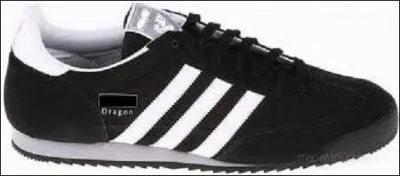 Quelle marque a cr un modle de chaussures  Dragon  ?