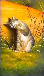 Que devient Feuille de Lune ?