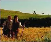 Que se passe-t-il  la fin de la trilogie ?