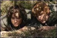 Qui est le meilleur ami de Frodon ?