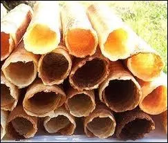 Nez retrouss, nez camus, nez busqu autant de possibilits pour une rhinoplastie ! Mais qu'appelle-ton un nez  piquer des gaufrettes ?