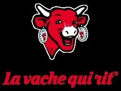 En littrature, ce procd cre un trouble. On ne sait qui de l'auteur, du narrateur ou du personnage s'exprime.