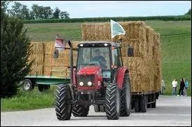 Pourquoi les agriculteurs de  l'Amour est dans le pr  ne pourront-ils plus lever le coude en compagnie de leurs prtendantes ?