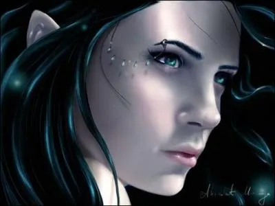 Quelle est la particularit des elfes ?