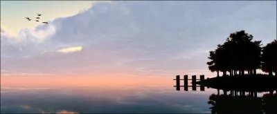 Pays o le mouton est une vritable institution, on le surnomme  Pays du long nuage blanc  !