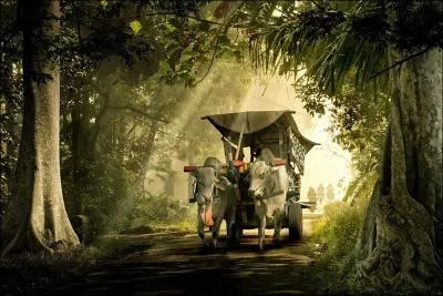 L'accueil et la bonne humeur sont de mise dans ce pays, d'ailleurs on le nomme  Le pays des sourires , il est drlement baht !