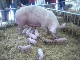 Le mot commence par : D� ...