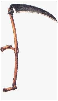 Le mot commence par : D� ...