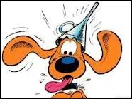 Le mot commence par : D ...