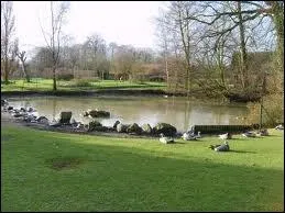 Le mot commence par : D ...