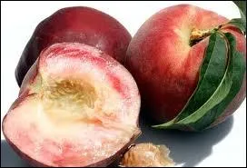 Le mot commence par : D ...