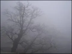 Le mot commence par : D ...