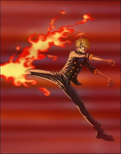Comment s'appelle la technique de Sanji ?