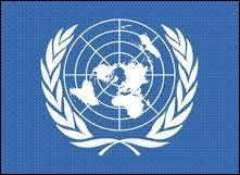 Une résolution vise à créer une organisation internationale pour la sauvegarde de la paix et de la sécurité. Il s'agit de la future...