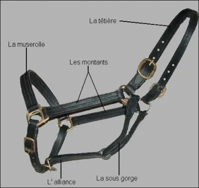 Comment s'appelle cet objet ?