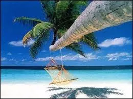 De qui est cette citation :  pour que votre voyage de noces soit un succs total sur le plan touristique, sentimental et sexuel, la premire chose  faire est de partir seul  ?