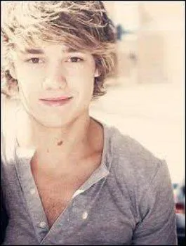 Combien de fois Liam a-t-il tent sa chance   X Factor  ?