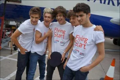 Qui est surnomm  Daddy Direction  ?