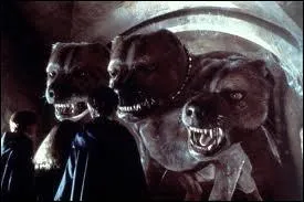 Cette crature est un chien gant  3 ttes. Il s'endort  condition d'entendre de la musique. Comment s'appelle-t-il ?