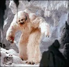 Cette crature trs dangereuse vit sur la plante Hoth, dans la neige et la glace. Luke Skywalker va avoir affaire  elle. C'est un... ?