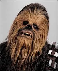 Cette crature trs expressive en dpit de son vocabulaire rduit aux grognements est l'une des plus apprcie de la saga Starwars. C'est Chewbacca, qui est un ?