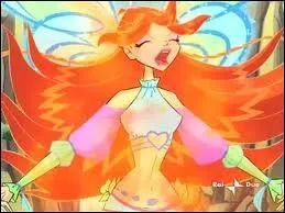 Quel est son pouvoir ?