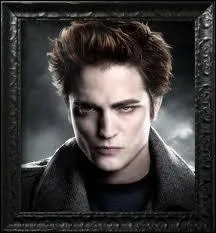 Qui joue dans le film  Twilight  ?