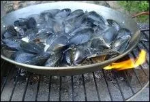 Allons ! Mangeons lger ! Faites-les cuire sur un feu de souches de vignes et, une fois ouvertes, garnissez le plat d'une sauce. Comment appelle-t-on cette prparation  raliser pour les amis.