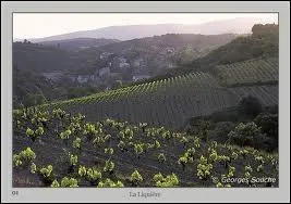 Que boire ? Le choix ne manque pas ! Les vins de Faugres rouges, ross, blancs sont de grands vins. Ils ont une :