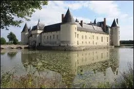 ''LA VIE DE CHÂTEAU 1'' 
À quelques km d'Angers, le film ''Peau d'âne'' avec Jean Marais et Catherine Deneuve a été tourné dans ce château qui semble sortir des eaux tant ses douves sont larges.