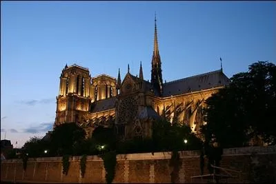 ''POÉSIES À FINIR'' 
Je me suis arrêté quelques instants pour voir / Le soleil se coucher derrière Notre-Dame / Un nuage splendide à l'horizon de flamme / Tel qu'un oiseau géant qui va prendre l'essor / --------------------------------''
